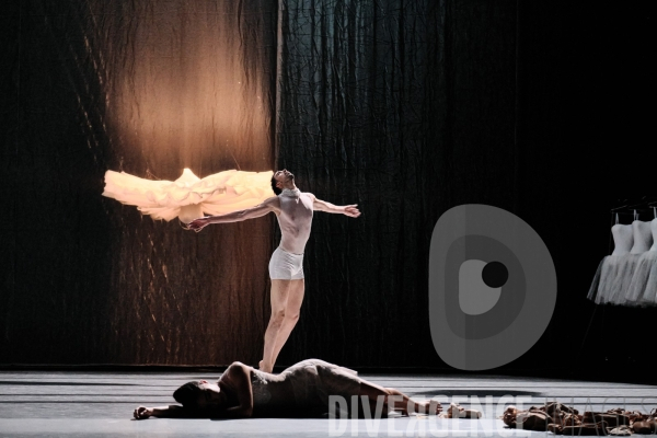 Le Lac des cygnes / Radhouane El Meddeb / Ballet de l Opéra national du Rhin