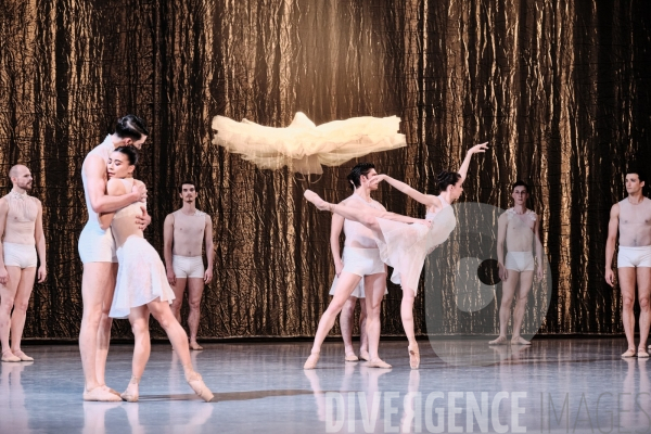 Le Lac des cygnes / Radhouane El Meddeb / Ballet de l Opéra national du Rhin