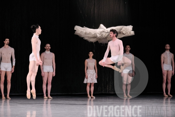 Le Lac des cygnes / Radhouane El Meddeb / Ballet de l Opéra national du Rhin