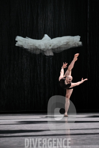 Le Lac des cygnes / Radhouane El Meddeb / Ballet de l Opéra national du Rhin