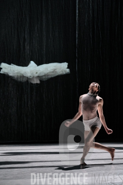 Le Lac des cygnes / Radhouane El Meddeb / Ballet de l Opéra national du Rhin