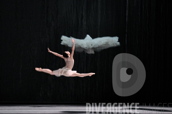 Le Lac des cygnes / Radhouane El Meddeb / Ballet de l Opéra national du Rhin