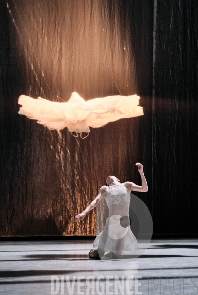 Le Lac des cygnes / Radhouane El Meddeb / Ballet de l Opéra national du Rhin