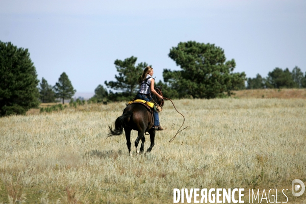 South Dakota Buffalo Round Up