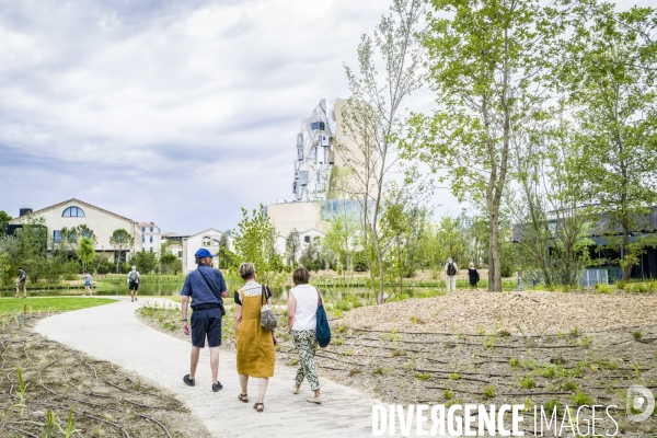 Fondation Luma, Arles