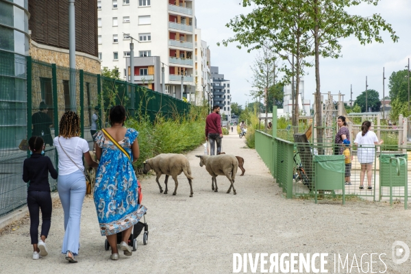 Canal Saint-Denis - Illustration