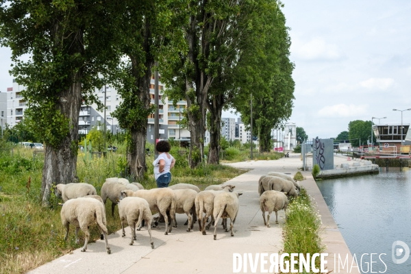 Canal Saint-Denis - Illustration