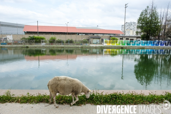 Canal Saint-Denis - Illustration