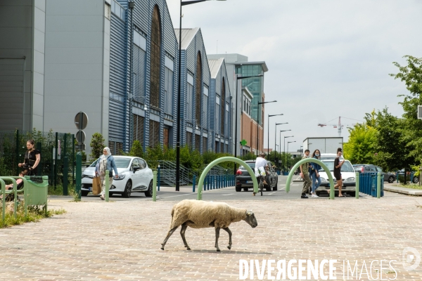 Canal Saint-Denis - Illustration