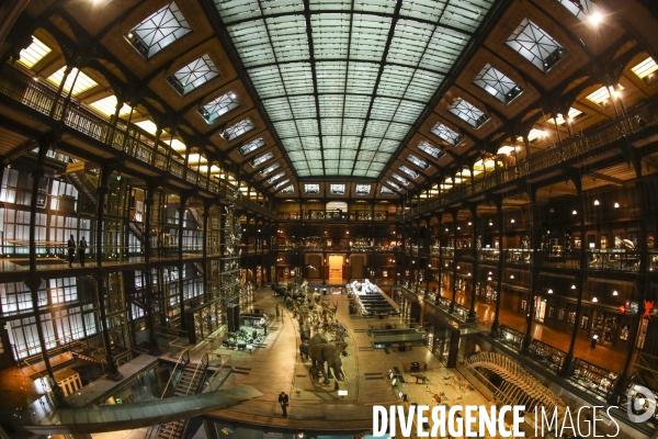 Grande galerie de l evolution