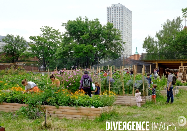 Au paysan urbain, une ferme  dans le quartier de Charonne