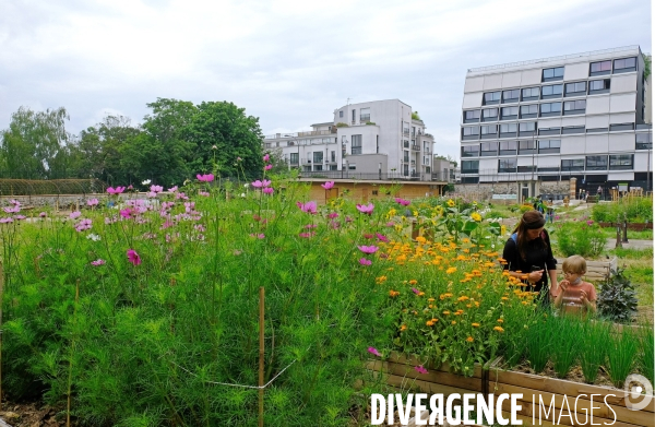 Au paysan urbain, une ferme  dans le quartier de Charonne