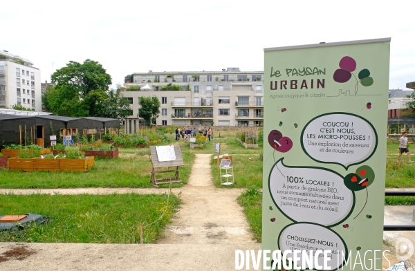 Au paysan urbain, une ferme  dans le quartier de Charonne