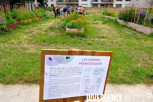 Au paysan urbain, une ferme  dans le quartier de Charonne