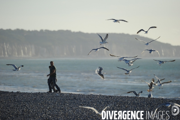 On allait au bord de la Mer...  illustration