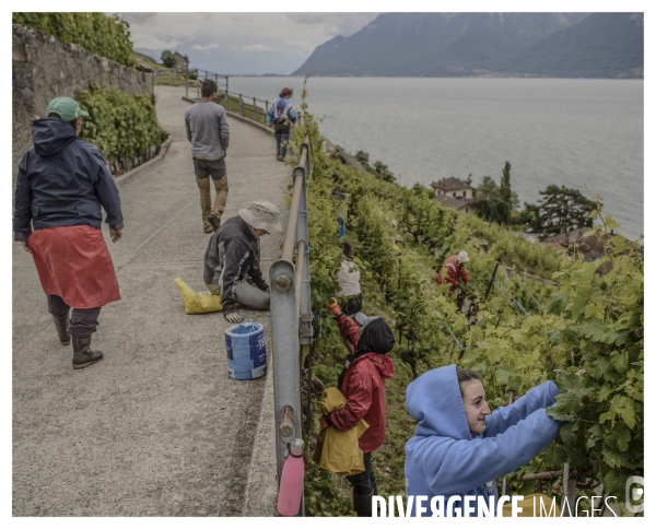 Riviera Vaudoise # 19 ( un Conte en Suisse )