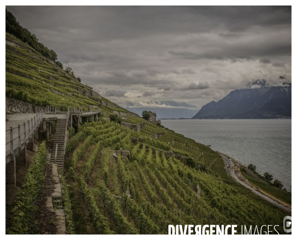 Riviera Vaudoise # 19 ( un Conte en Suisse )