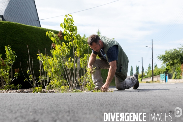 Végétalisation à Lanvallay