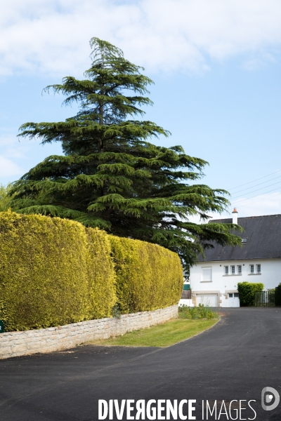 Végétalisation à Lanvallay