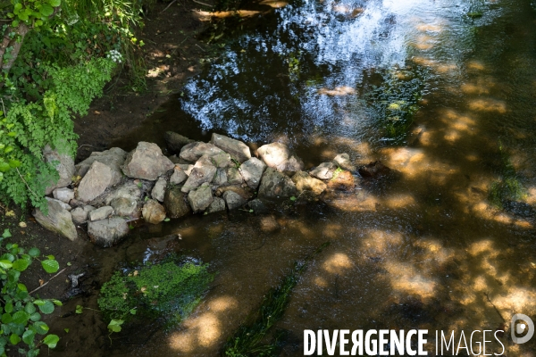 Pollution des rivières en Bretagne