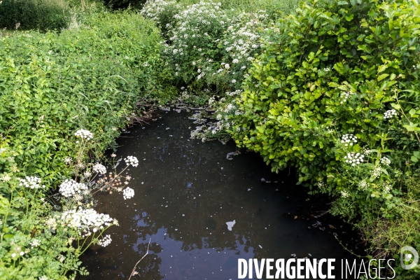 Pollution des rivières en Bretagne