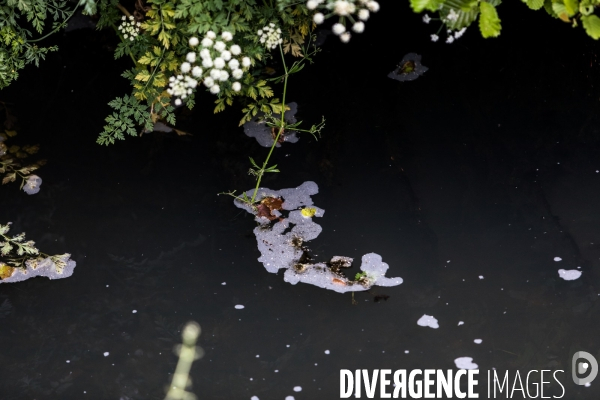 Pollution des rivières en Bretagne