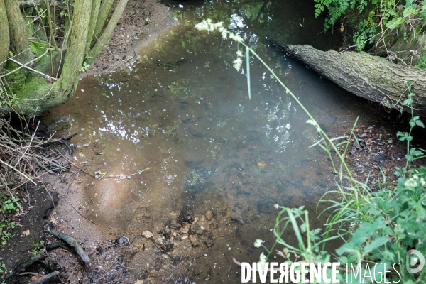 Pollution des rivières en Bretagne