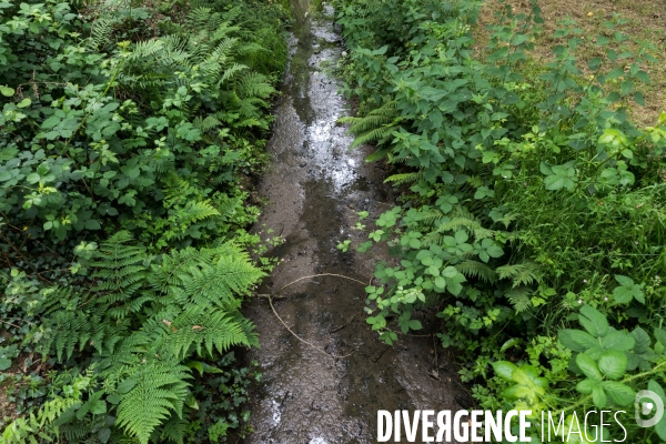 Pollution des rivières en Bretagne