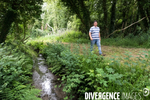 Pollution des rivières en Bretagne