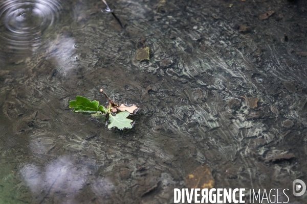 Pollution des rivières en Bretagne