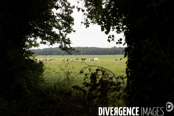 Pollution des rivières en Bretagne