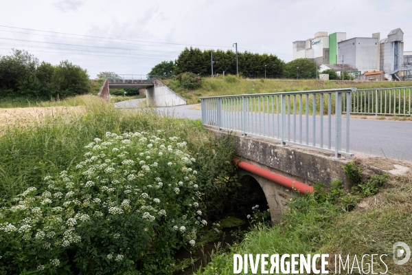 Pollution des rivières en Bretagne