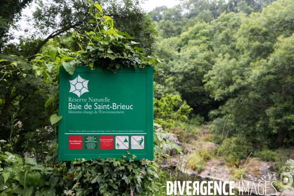 Pollution des rivières en Bretagne