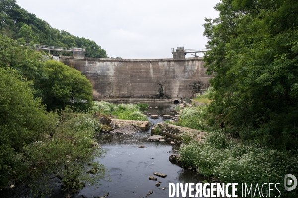 Pollution des rivières en Bretagne