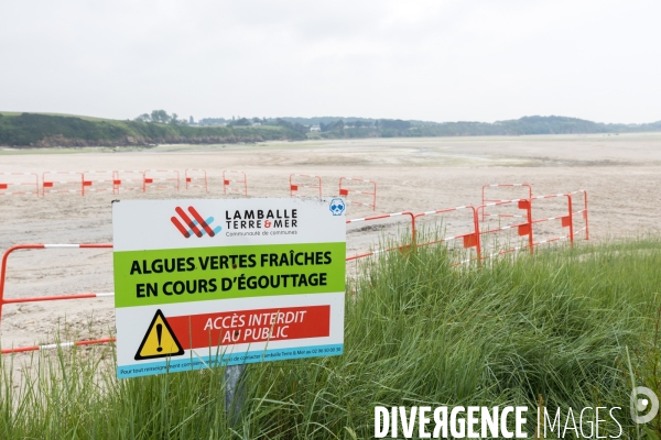 Pollution des rivières en Bretagne