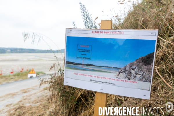 Pollution des rivières en Bretagne