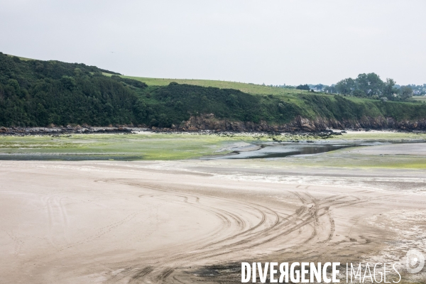 Pollution des rivières en Bretagne