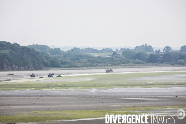 Pollution des rivières en Bretagne