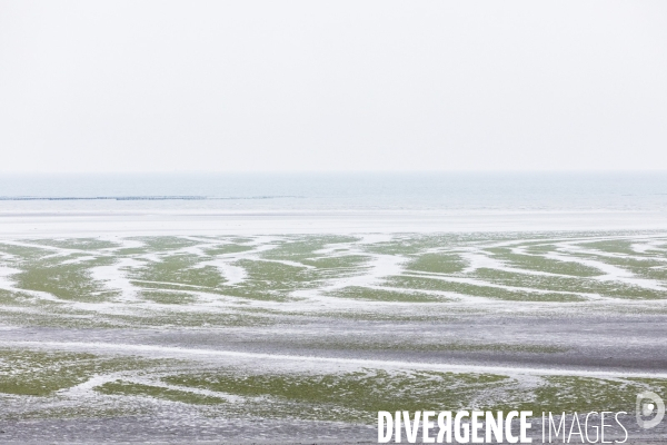 Pollution des rivières en Bretagne