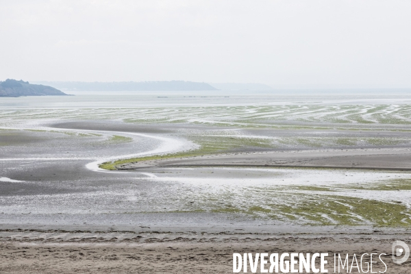 Pollution des rivières en Bretagne