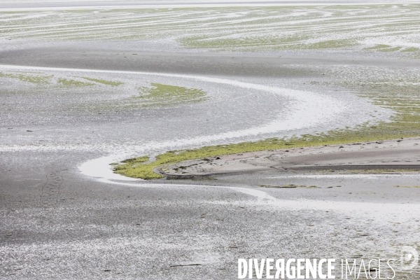 Pollution des rivières en Bretagne