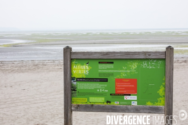 Pollution des rivières en Bretagne