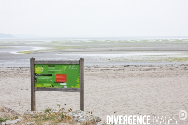 Pollution des rivières en Bretagne