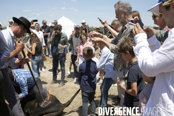 Ferrade Vip Rencontre de la photographie d arles