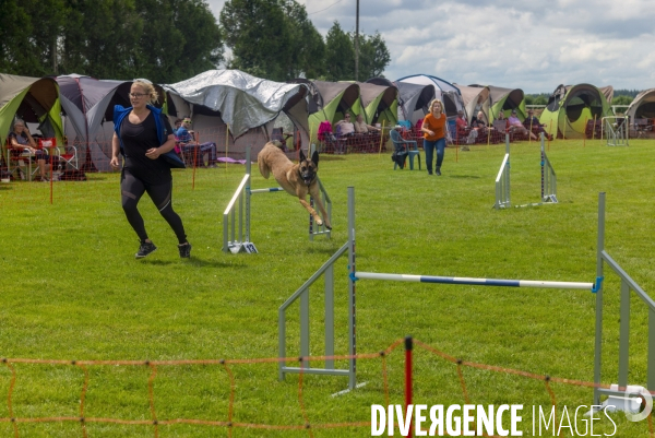 Concours d agility