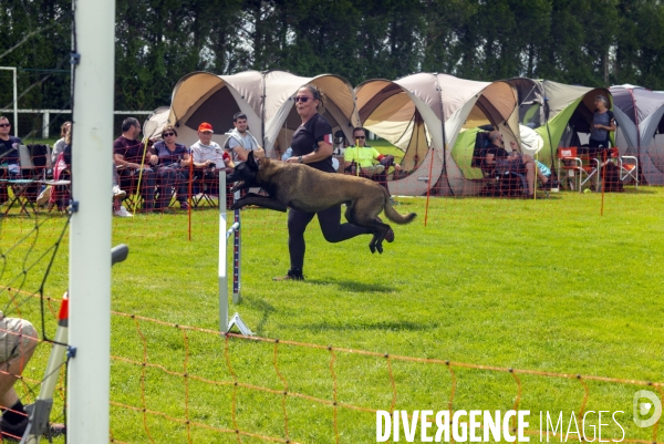 Concours d agility