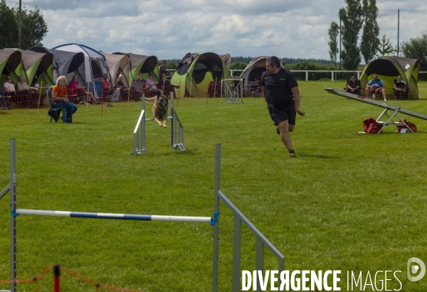 Concours d agility