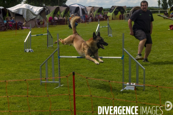 Concours d agility