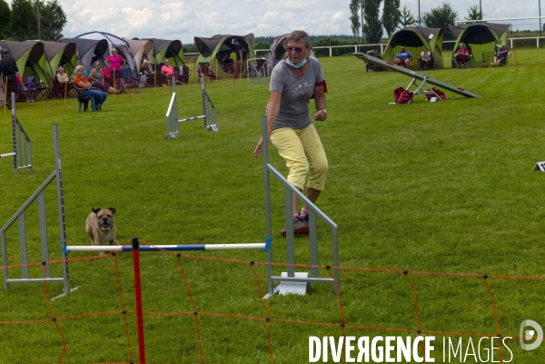 Concours d agility