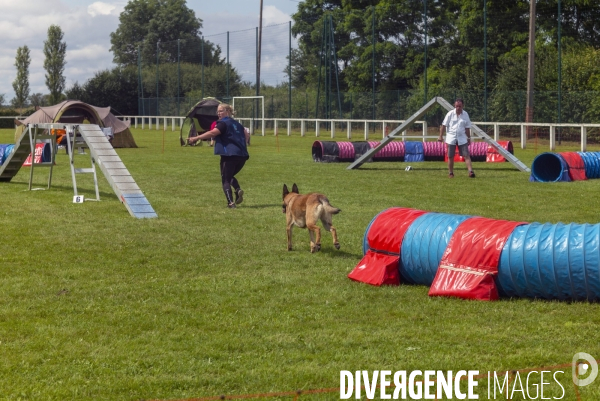 Concours d agility